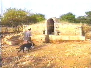 CAMPO (77)  LABRANZA